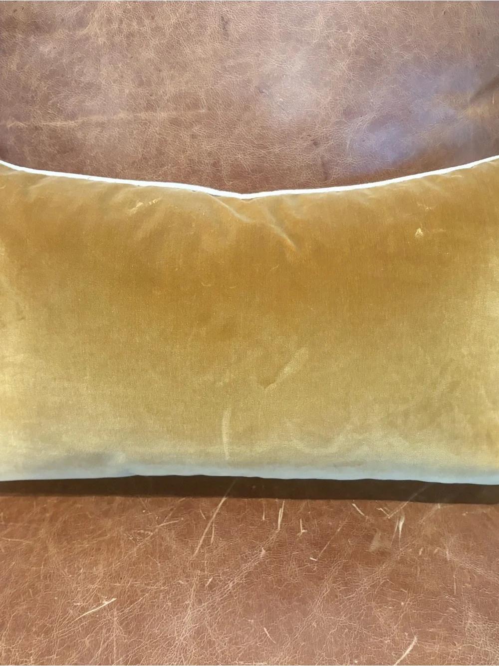 Mustard Yellow Zebra Print Lumbar Pillow - Unbranded